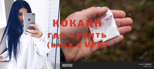 дурь Богородицк