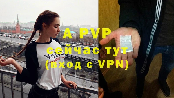 СК Богородск