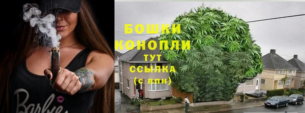 СК Богородск