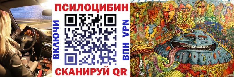 Псилоцибиновые грибы Psilocybe Старая Русса